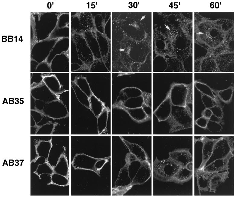 FIG. 8