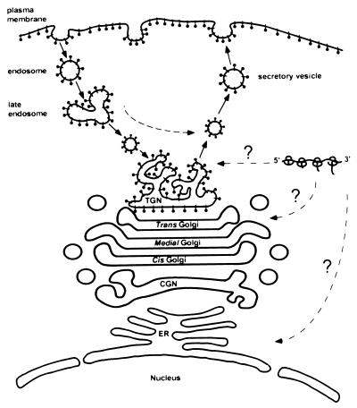 FIG. 10