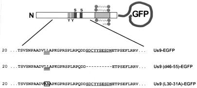 FIG. 6