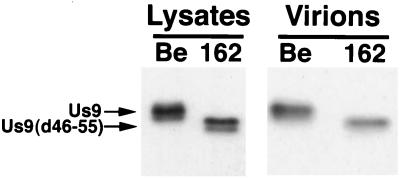 FIG. 9