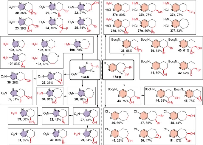 Scheme 2