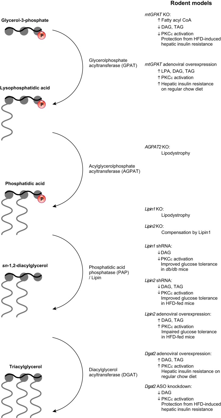 FIGURE 14.