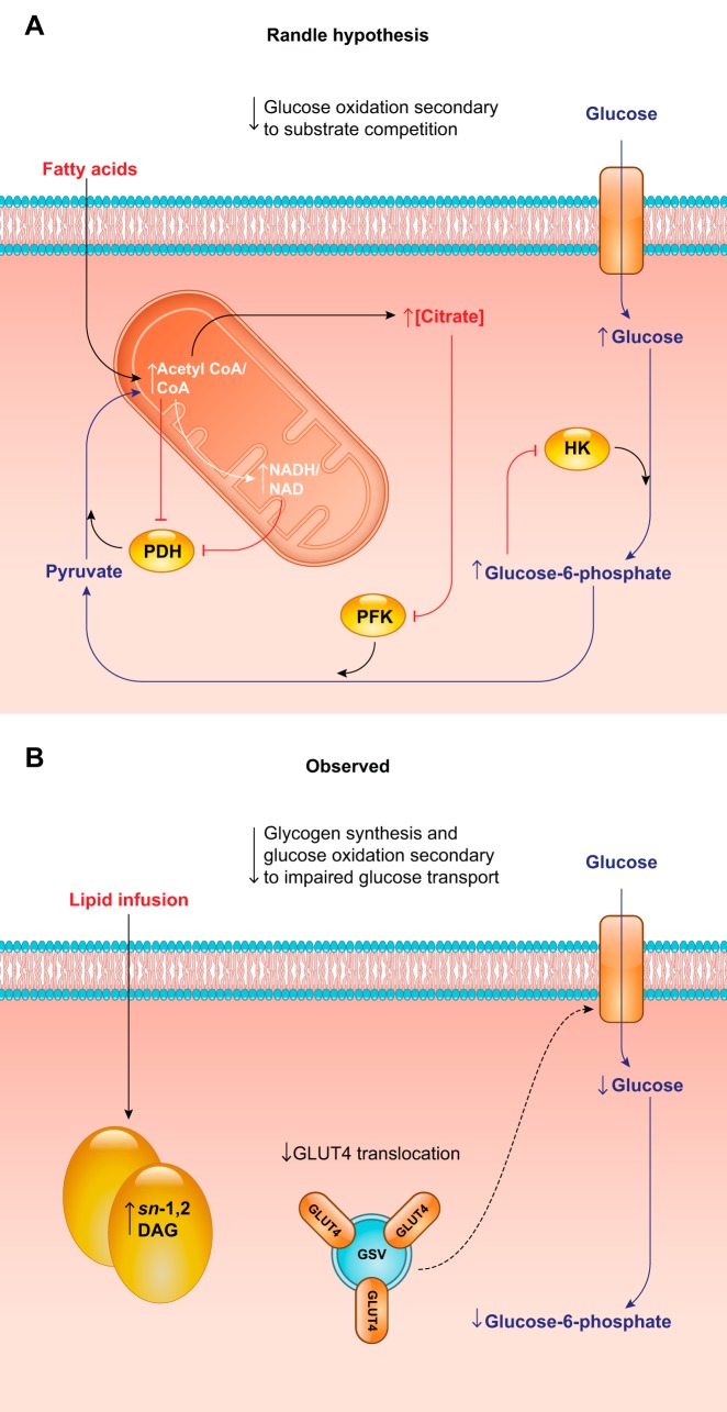 FIGURE 12.