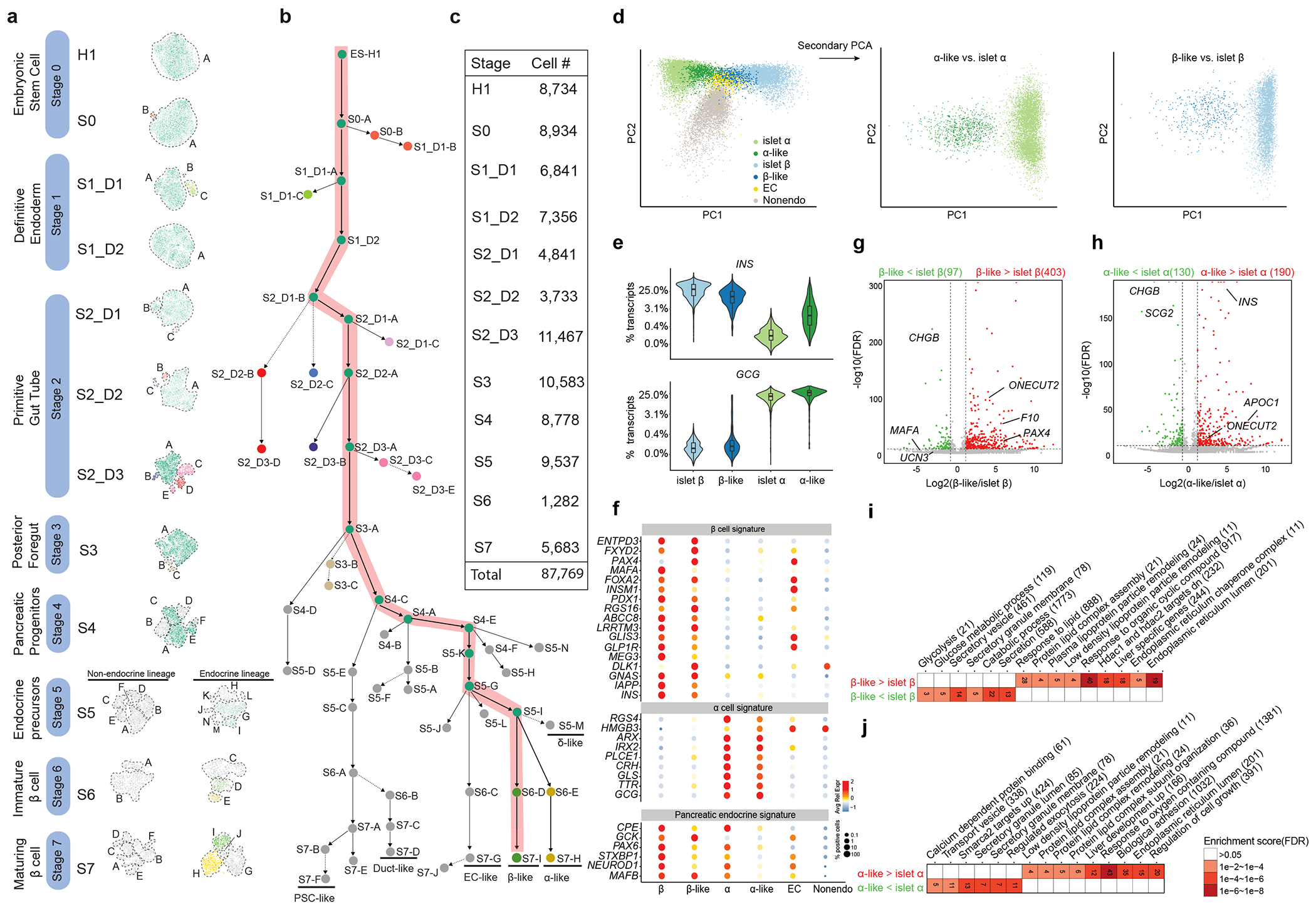 Single-cell lineage analysis reveals extensive multimodal transcriptional control during directed beta-cell differentiation.