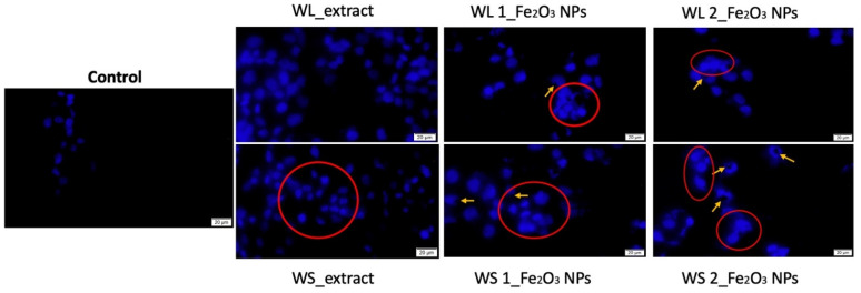 Figure 15