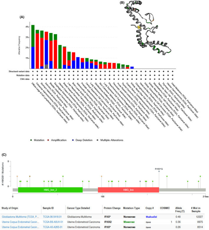 FIGURE 3