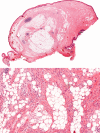 Fig. 1