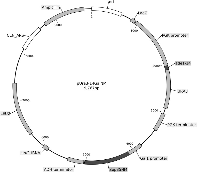 Fig. S1.