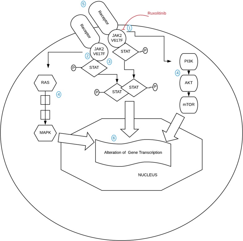 Fig. 2