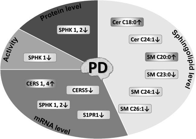 Fig. 5