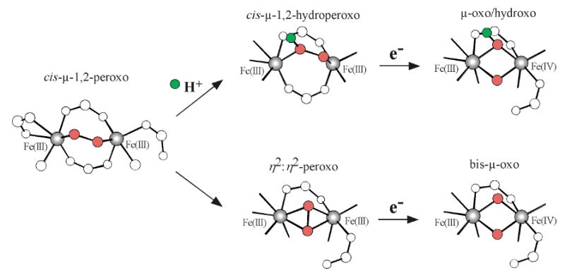 Scheme 2