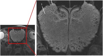 Fig. 5