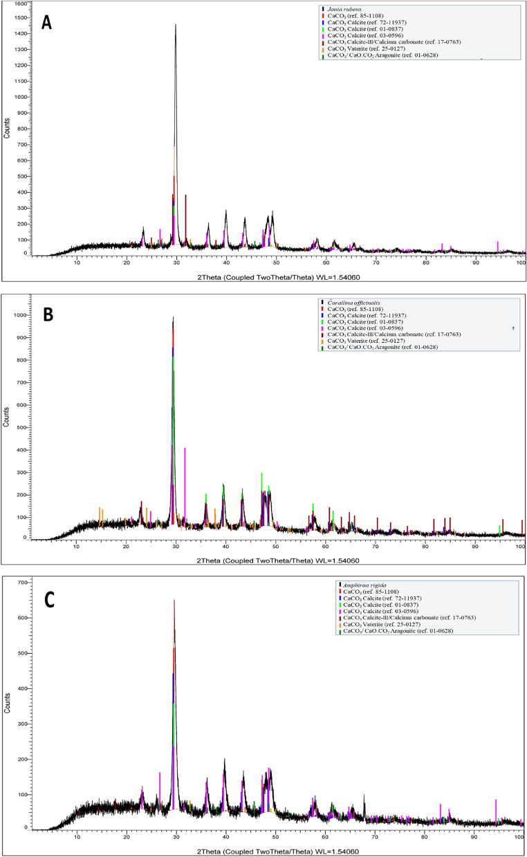 Fig. 12