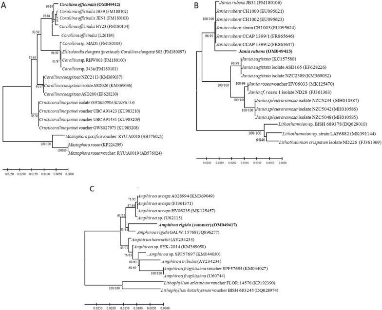 Fig. 10