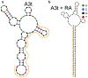 Fig. 3 ∣