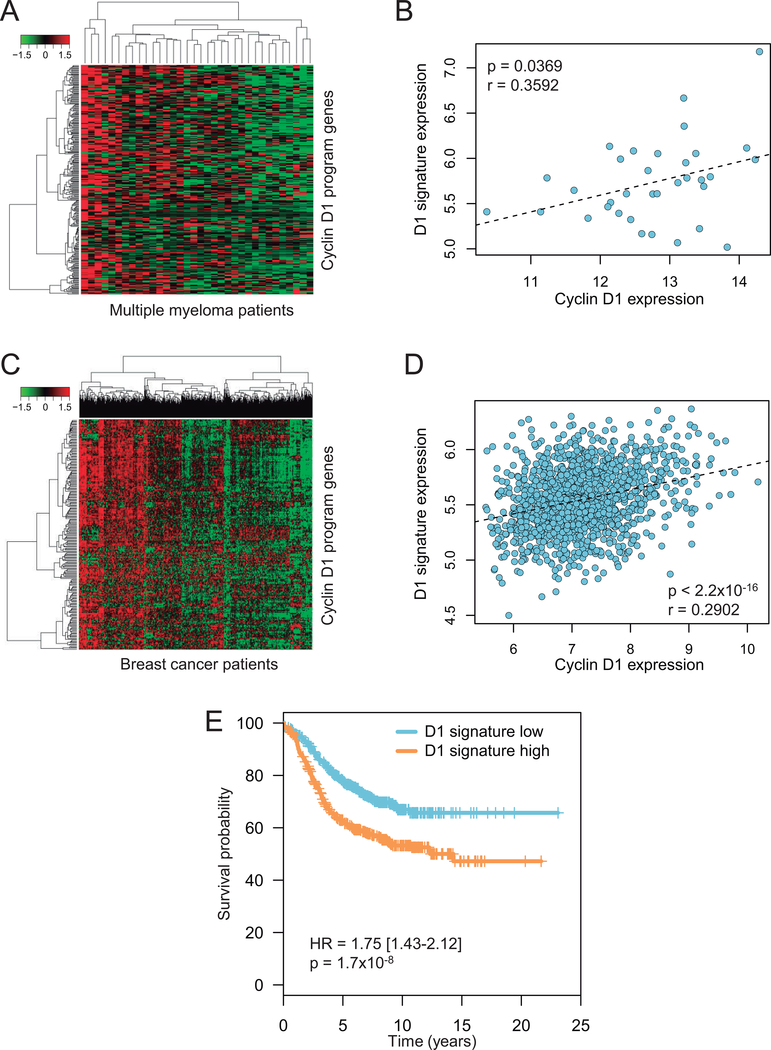 Figure 6: