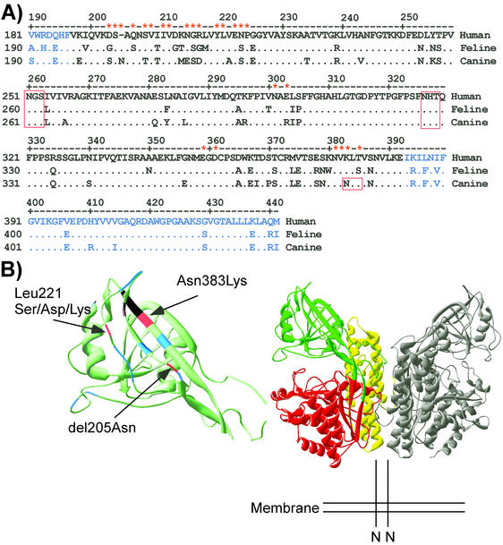 FIG. 1.