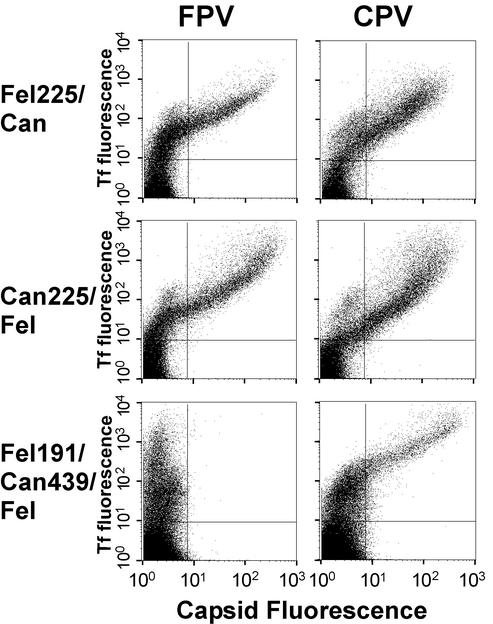 FIG. 5.