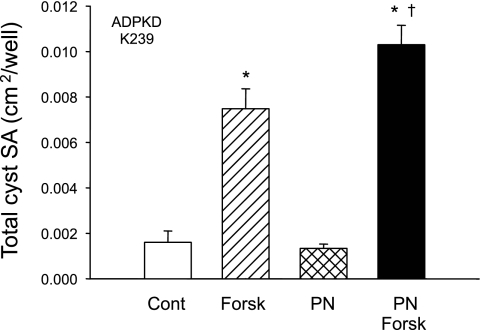 Fig. 8.