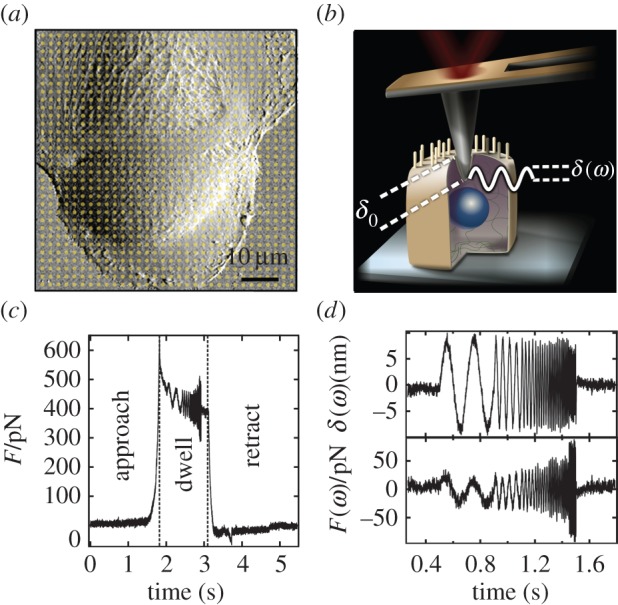 Figure 1.