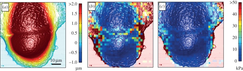 Figure 2.