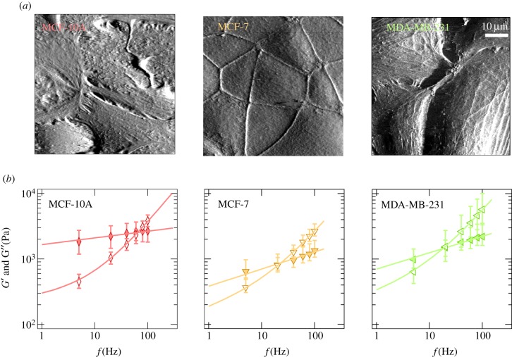 Figure 3.