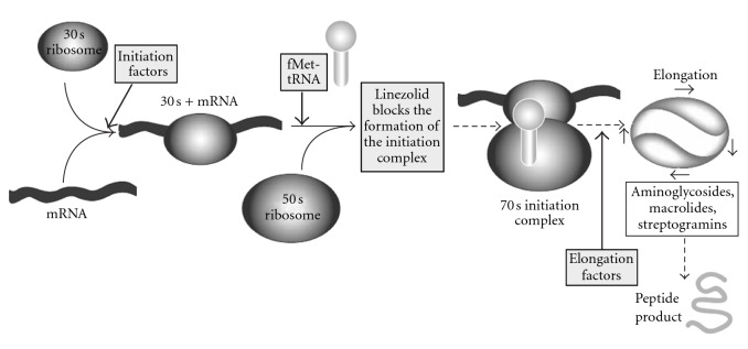 Figure 18