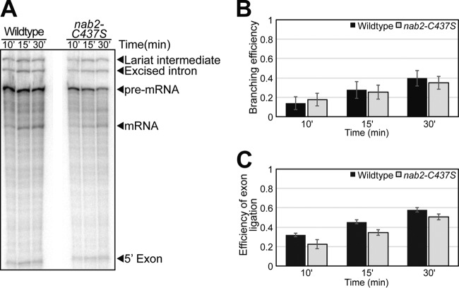 FIG 4