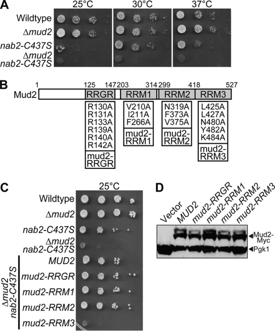 FIG 6