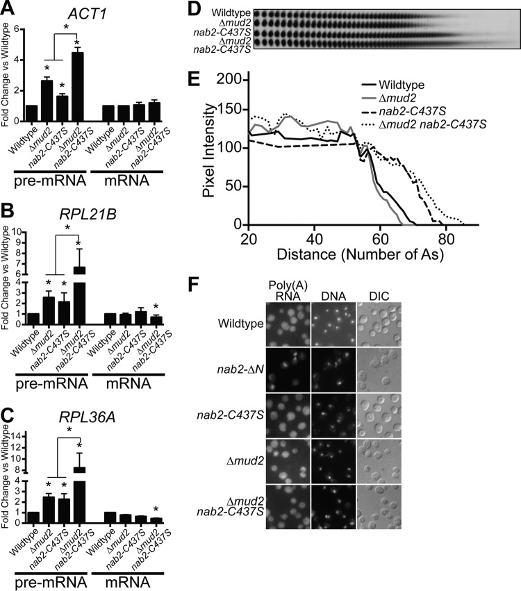 FIG 8