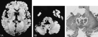 <sc>fig</sc> 1.