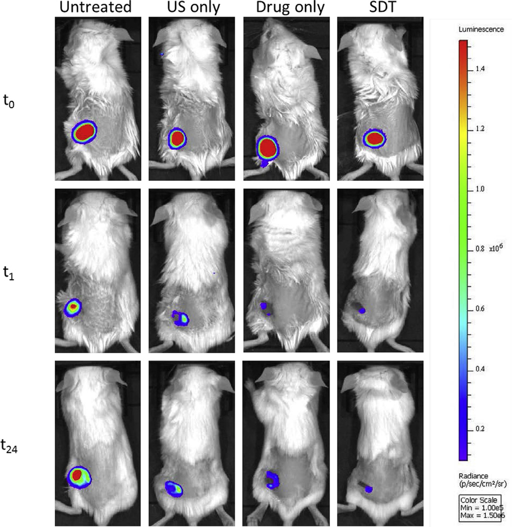 Fig. 7