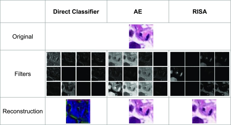 Fig. 9