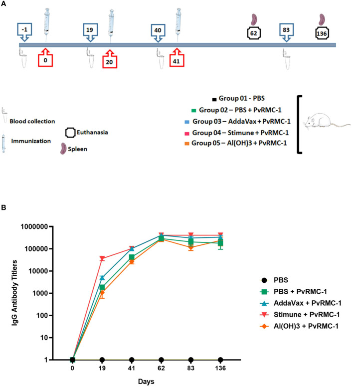 Figure 1