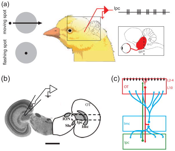 Fig. 1