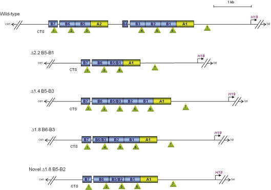 Supplementary Fig. 1