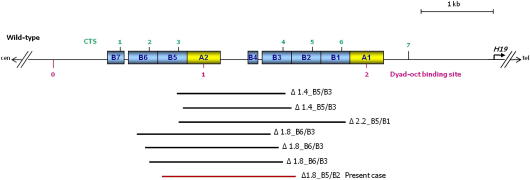 Fig. 2