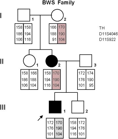 Fig. 1