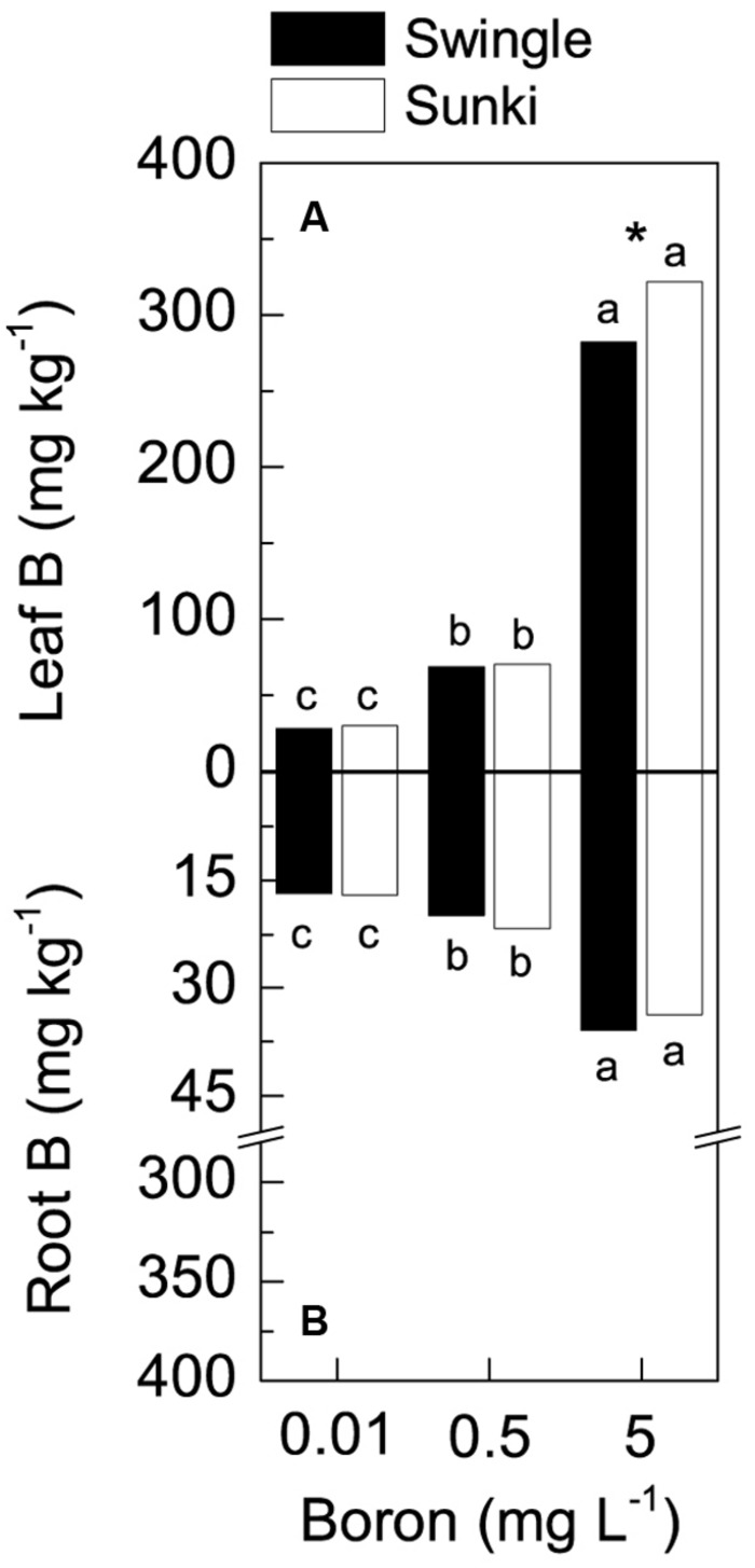 FIGURE 2