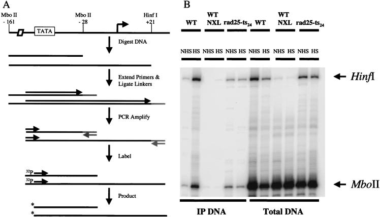 FIG. 6