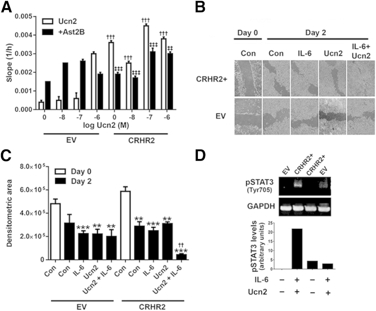 Figure 6