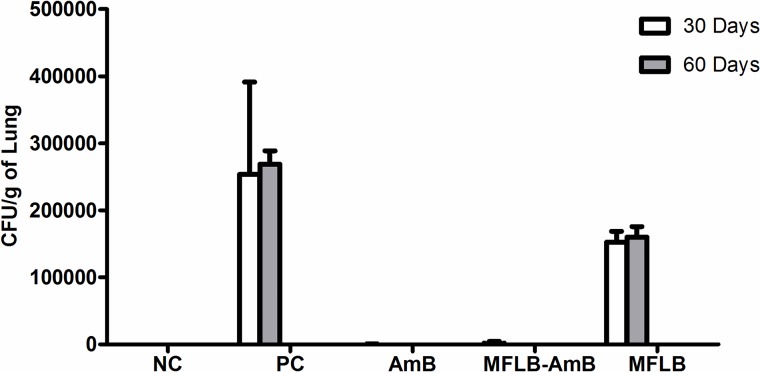 Fig 5