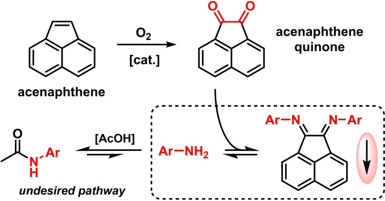 Scheme 3