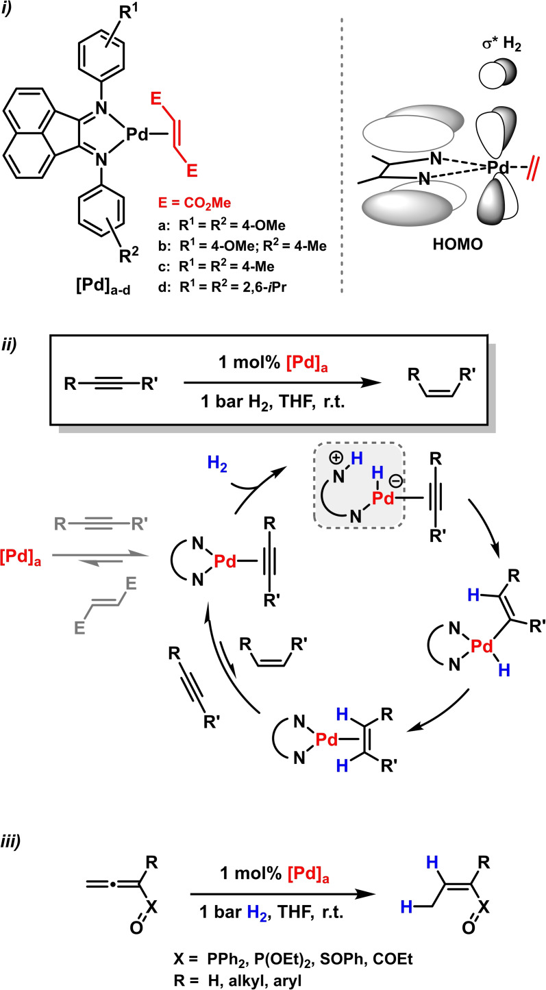 Scheme 8