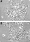 FIG. 6