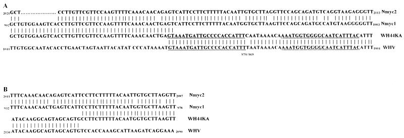 FIG. 2