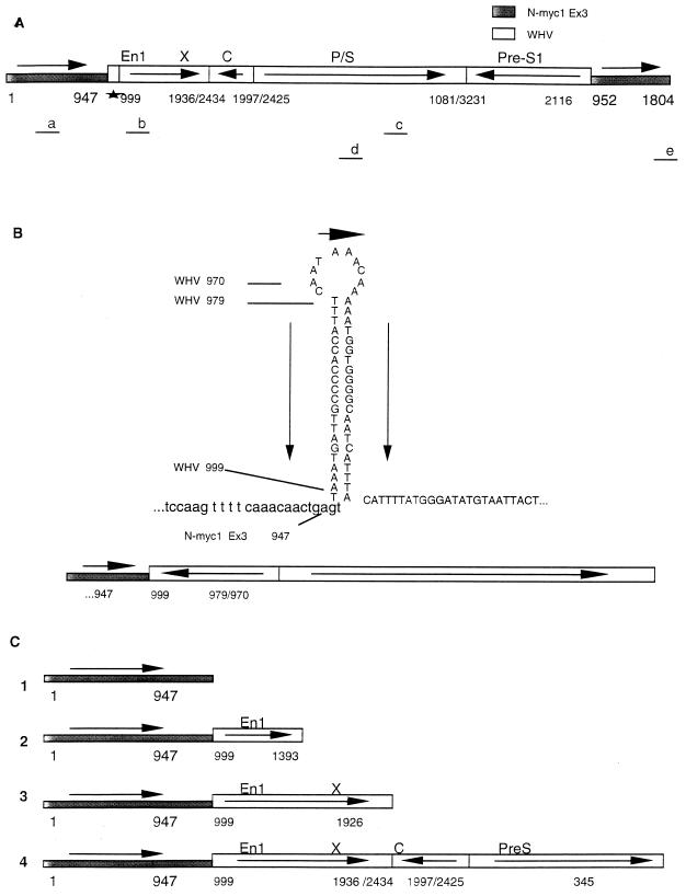 FIG. 3
