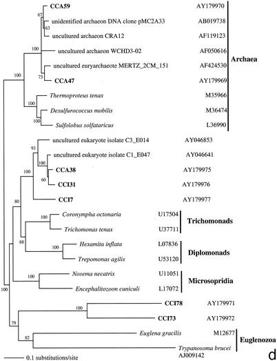 FIG. 2.