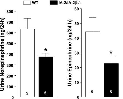 Fig. 11.