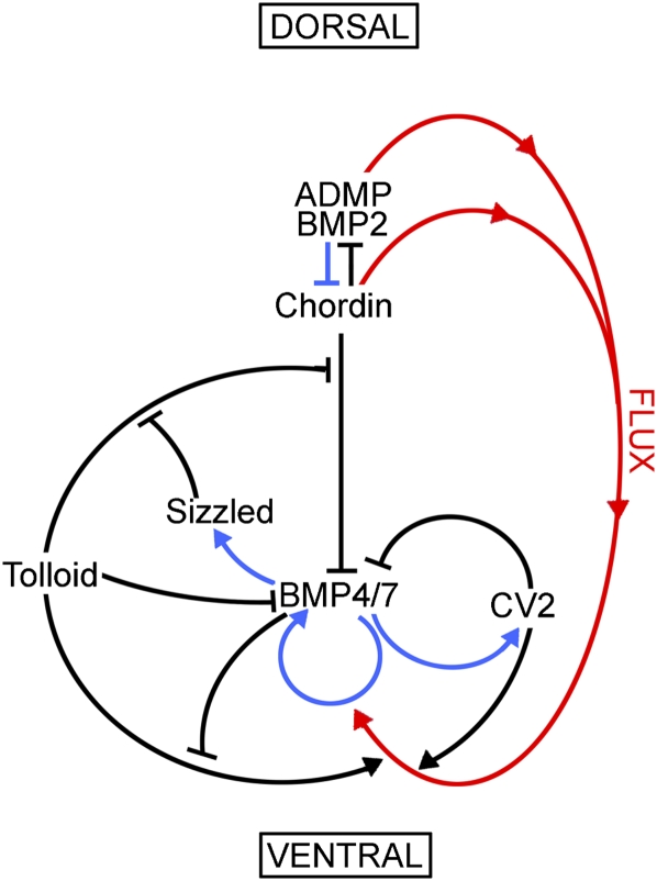 Figure 7.